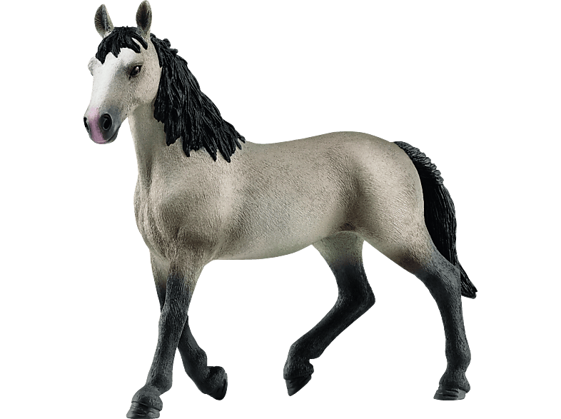 SCHLEICH 13955 Cheval de Selle Francais Stute Spielfigur Grau/Schwarz SCHLEICH 13955 Cheval de Selle Francais Stute Spielfigur Grau/Schwarz von SCHLEICH