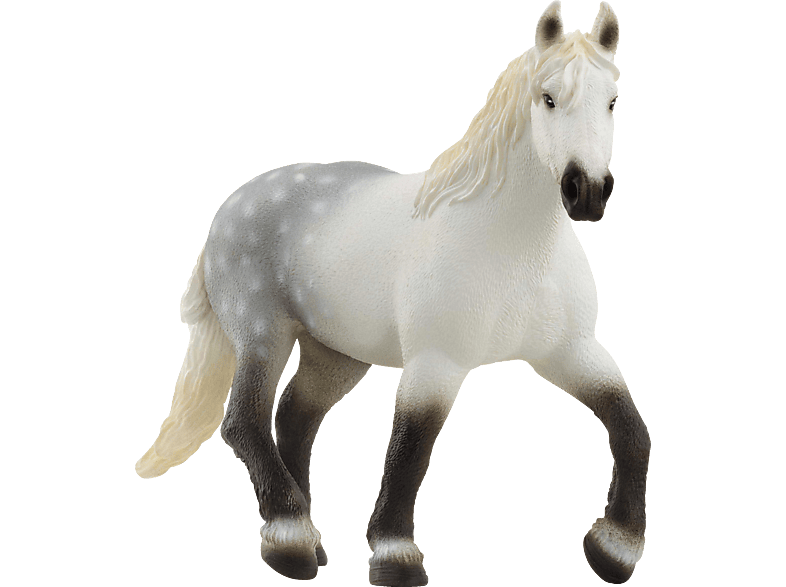 SCHLEICH 13971 PERCHERON STUTE Spielfigur Mehrfarbig SCHLEICH 13971 PERCHERON STUTE Spielfigur Mehrfarbig von SCHLEICH