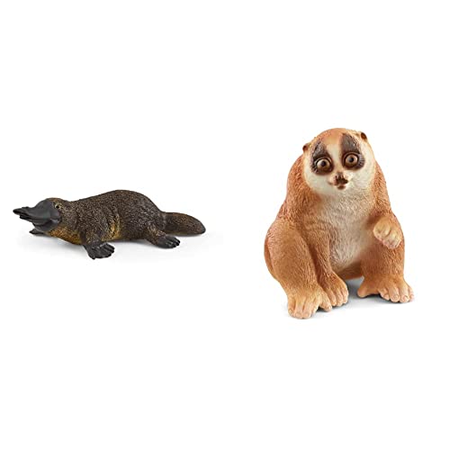 SCHLEICH 14840 Schnabeltier, für Kinder ab 3+ Jahren, WILD Life - Spielfigur & 14852 Plumplori, für Kinder ab 3+ Jahren, WILD Life - Spielfigur von SCHLEICH
