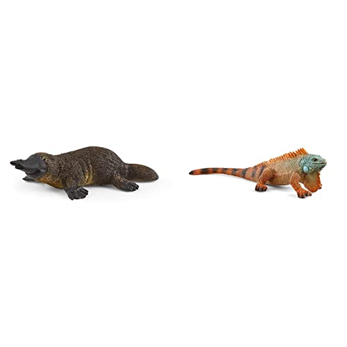 SCHLEICH 14840 Schnabeltier, für Kinder ab 3+ Jahren, WILD Life - Spielfigur & 14854 Leguan, für Kinder ab 3+ Jahren, WILD Life - Spielfigur SCHLEICH 14840 Schnabeltier, für Kinder ab 3+ Jahren, WILD Life - Spielfigur & 14854 Leguan, für Kinder ab 3+ Jahren, WILD Life - Spielfigur von SCHLEICH