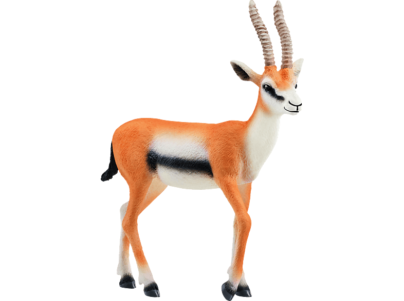 SCHLEICH 14861 Thomson Gazelle Spielfigur Mehrfarbig SCHLEICH 14861 Thomson Gazelle Spielfigur Mehrfarbig von SCHLEICH