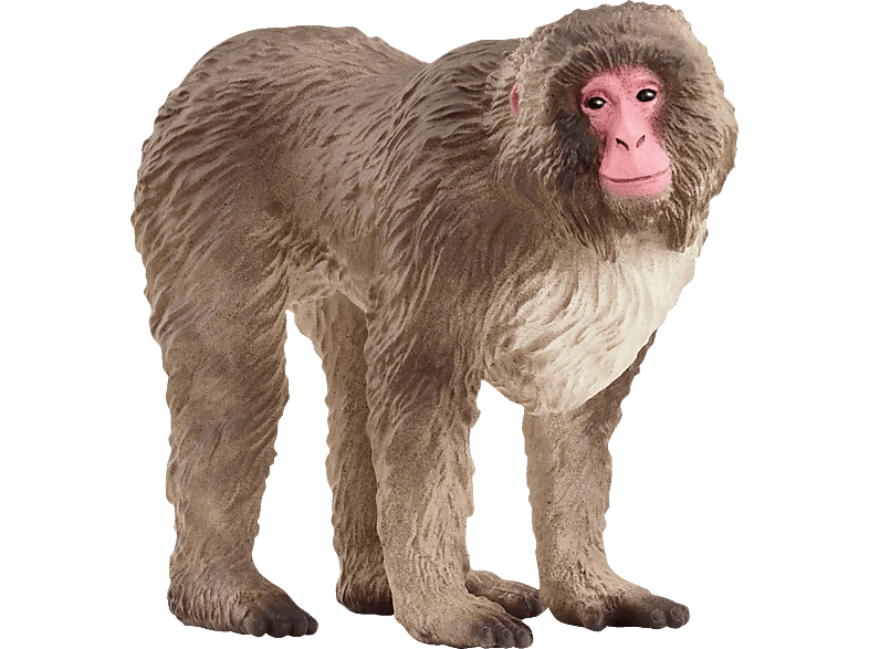 SCHLEICH 14871 JAPANMAKAK Spielfigur Mehrfarbig SCHLEICH 14871 JAPANMAKAK Spielfigur Mehrfarbig von SCHLEICH