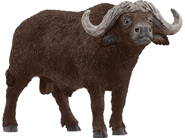 SCHLEICH 14872 KAFFERNBÜFFEL Spielfigur Mehrfarbig SCHLEICH 14872 KAFFERNBÜFFEL Spielfigur Mehrfarbig von SCHLEICH