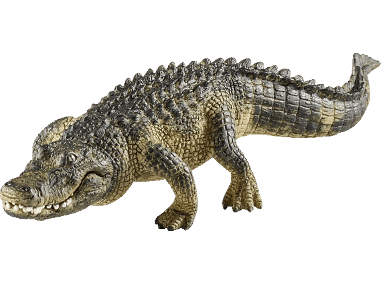 SCHLEICH Alligator Spielfigur Mehrfarbig SCHLEICH Alligator Spielfigur Mehrfarbig von SCHLEICH