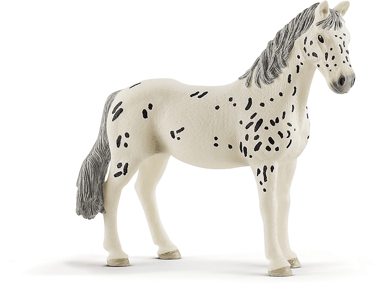 SCHLEICH KNABSTRUPPER STUTE Spielfigur Mehrfarbig SCHLEICH KNABSTRUPPER STUTE Spielfigur Mehrfarbig von SCHLEICH