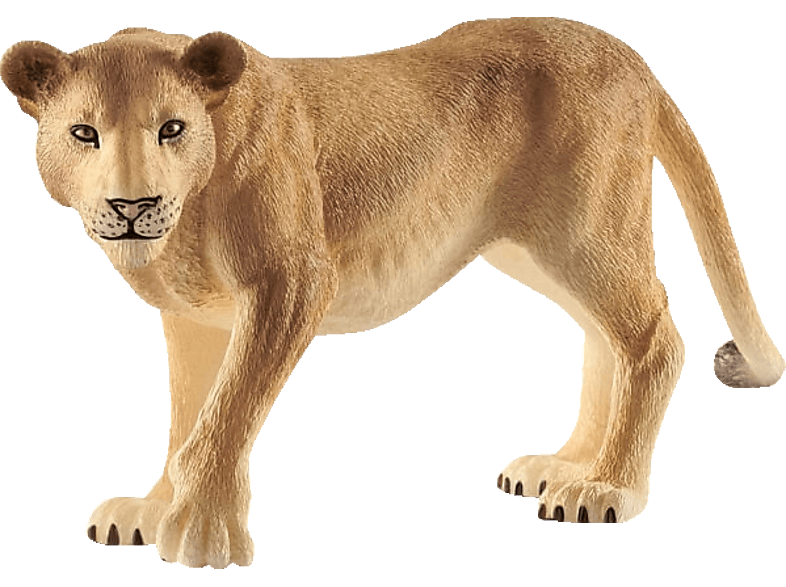SCHLEICH Löwin Spielfigur Mehrfarbig SCHLEICH Löwin Spielfigur Mehrfarbig von SCHLEICH
