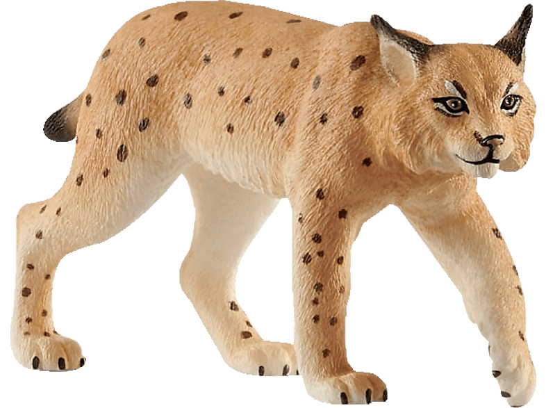 SCHLEICH Luchs Spielfigur Mehrfarbig von SCHLEICH