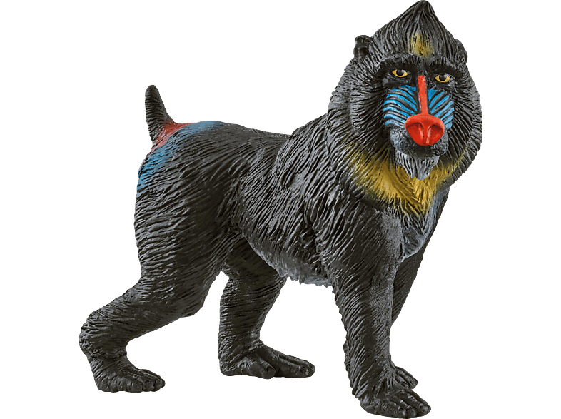 SCHLEICH Mandrill Spielfigur Mehrfarbig SCHLEICH Mandrill Spielfigur Mehrfarbig von SCHLEICH
