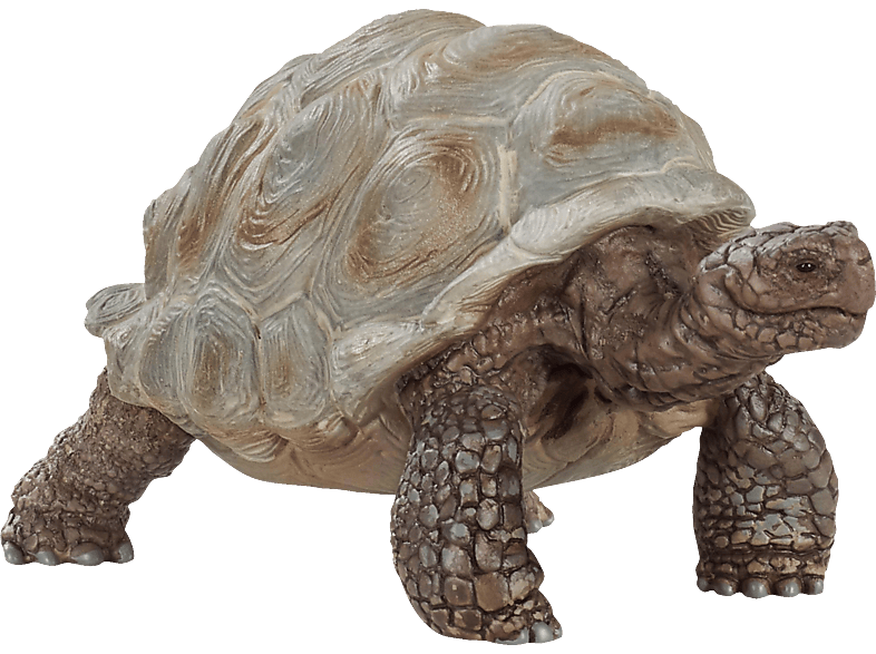 SCHLEICH RIESENSCHILDKRÖTE Spielfigur Mehrfarbig von SCHLEICH