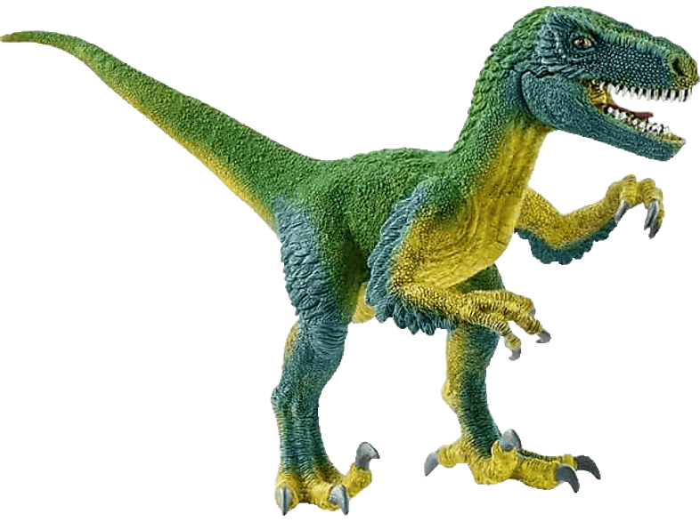 SCHLEICH Velociraptor Spielfigur Mehrfarbig SCHLEICH Velociraptor Spielfigur Mehrfarbig von SCHLEICH