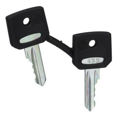 Schneider Elect ZBG455 ERSATZSCHLUESSEL Schneider Elect ZBG455 ERSATZSCHLUESSEL von SCHNEIDER ELECT