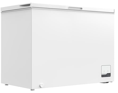 SCHOEPF GT300S Gefriertruhe / 299 Liter/Tiefkühltruhe SCHOEPF GT300S Gefriertruhe / 299 Liter/Tiefkühltruhe von SCHOEPF