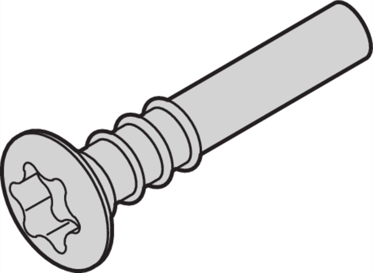 SCHROFF Torx-Linsenkopfschraube - NTS LISESHR TORX3.0X20 100ST (24812501) von SCHROFF