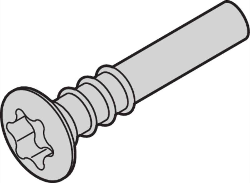 SCHROFF Torx-Linsenkopfschraube - NTS LISESHR TORX3.0X20 100ST (24812501) von SCHROFF