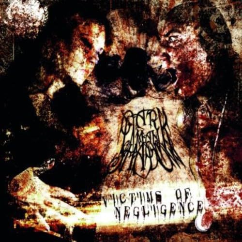 Victims of Negligence von SCHWARZDORN