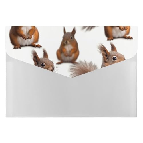 Dateiordner 6 Taschen Kunststoff Nette Eichhörnchen Gedruckte Ordner Dateiordner Brief Größe Tragbare Ordner Filing Organizer von SDTKLHW