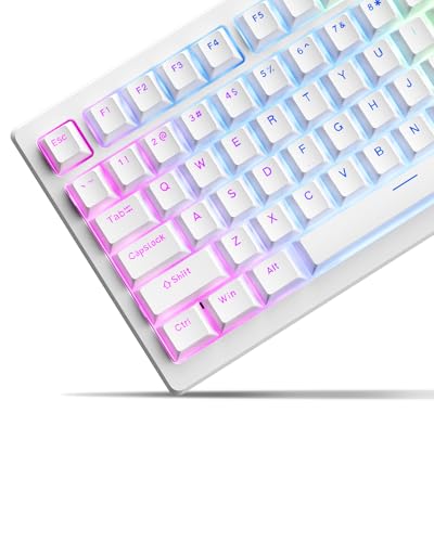 Weiße PBT-Tastenkappen, Tastenkappen 60, 75, 100 Prozent, OEM-Profil-Tastenkappen-Set, benutzerdefinierte Tastenkappen, Doubleshot-Tastenkappen-Set für Cherry Gateron MX Switches Tastatur, glänzende Weiße PBT-Tastenkappen, Tastenkappen 60, 75, 100 Prozent, OEM-Profil-Tastenkappen-Set, benutzerdefinierte Tastenkappen, Doubleshot-Tastenkappen-Set für Cherry Gateron MX Switches Tastatur, glänzende von SDYZ