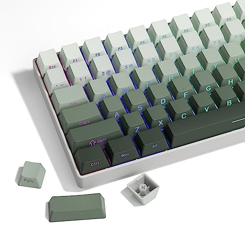 XVX Shine Through Gradient Seaweed Green Keycaps - Side Print, Double Shot PBT, 136 Tasten, OEM-Profil für Cherry Gateron MX Switches XVX Shine Through Gradient Seaweed Green Keycaps - Side Print, Double Shot PBT, 136 Tasten, OEM-Profil für Cherry Gateron MX Switches von SDYZ