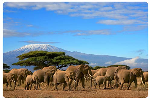 SECO Kilimanjaro Schreibtischunterlage, 600 x 400 mm, 3 mm, strapazierfähiger Foamex-Boden mit bedrucktem Laminat, mehrfarbig von SECO