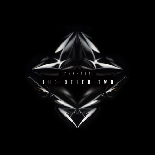 The Other Two [Vinyl Maxi-Single] von SECOND STATE