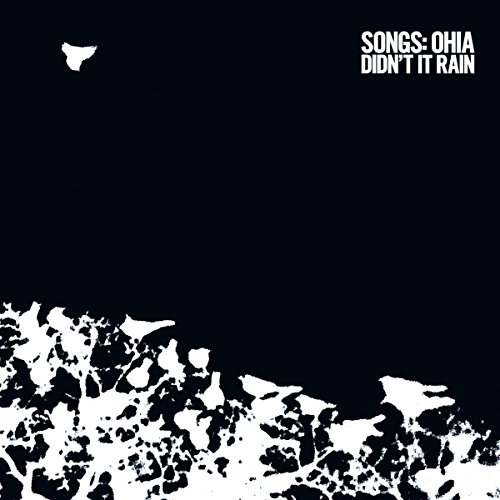 Didn'T It Rain (Deluxe Reissue) [Vinyl LP] von SECRETLY CANADIA