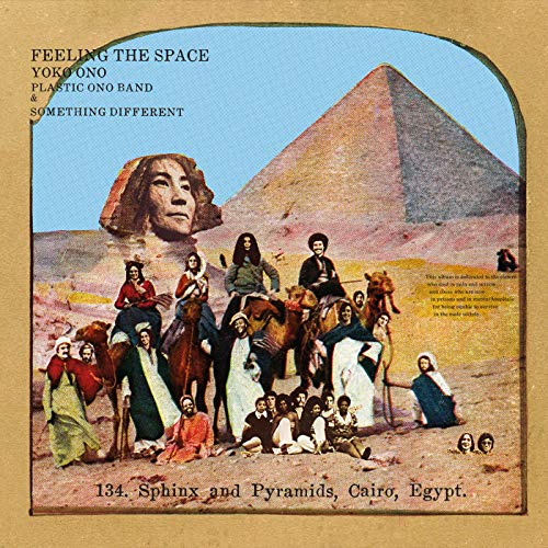 Feeling the Space [Vinyl LP] von SECRETLY CANADIA