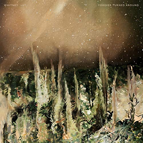 Forever Turned Around (Forest Brown Vinyl) [Vinyl LP] von SECRETLY CANADIA