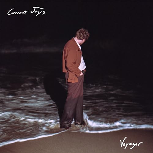 Voyager [Vinyl LP] von SECRETLY CANADIA
