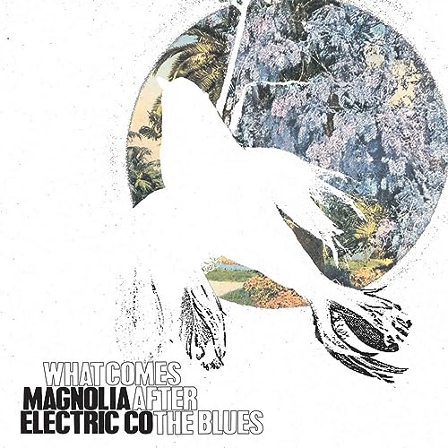 What Comes After the Blues [Vinyl LP] von VINYL
