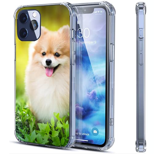 Süße Pomeranian iPhone Clear Hülle Kompatibel mit 12 und 12 und iPhone 12 Pro Stoßfeste Schutzhülle Cover Weiche Gummi Bumper Handyhülle Zwei Größen von SEEKJOYS