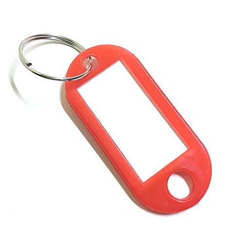 100 Stück Kunststoff Schlüssel Tags mit Schlüsselanhänger, 5 x 2,2 cm Beschriftbar Gepäckanhänger zur Kennzeichnung von Schlüsseln oder anderen kleinen Gegenständen von SEIWEI