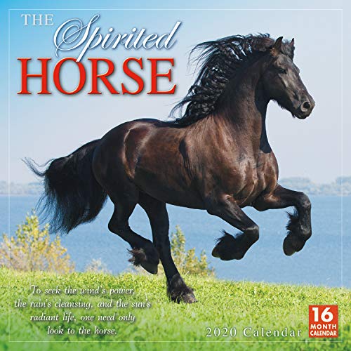 2020 the Spirited Horse 16-Month Wall Calendar: By Sellers Publishing 2020 the Spirited Horse 16-Month Wall Calendar: By Sellers Publishing von SELLERS PUBLISHING, INC.