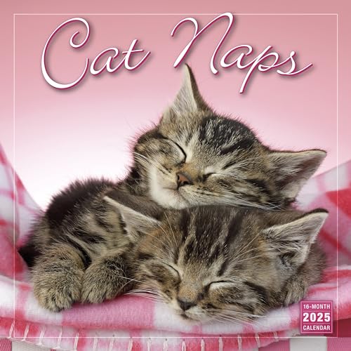 Cat Naps Wandkalender 2025, 16 Monate Katzenkalender, 30,5 x 30,5 cm Cat Naps Wandkalender 2025, 16 Monate Katzenkalender, 30,5 x 30,5 cm von SELLERS PUBLISHING, INC.