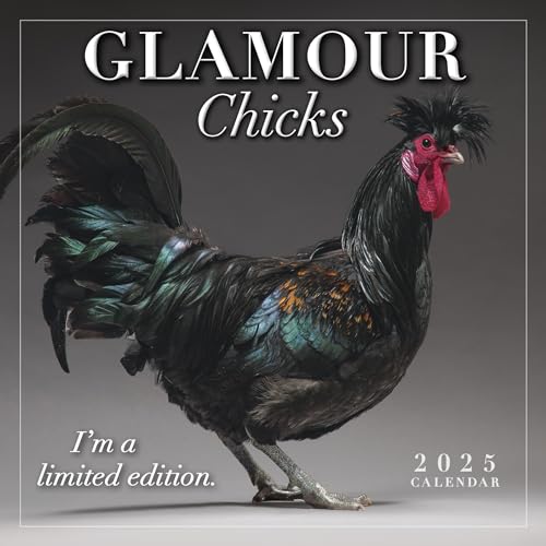 Glamour Chicks Mini-Kalender 2025, 17,8 x 17,8 cm Glamour Chicks Mini-Kalender 2025, 17,8 x 17,8 cm von SELLERS PUBLISHING, INC.