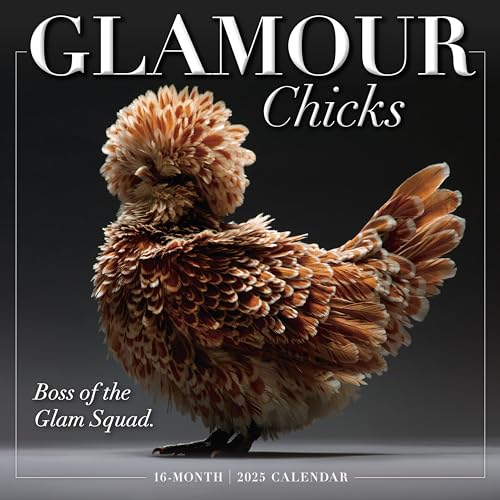 2025 Glamour Chicks Wall Calendar 2025 Glamour Chicks Wall Calendar von SELLERS PUBLISHING, INC.