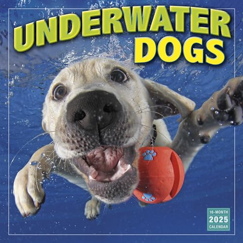 Underwater Dogs Wandkalender 2025, 16 Monate Tierkalender, 30,5 x 30,5 cm Underwater Dogs Wandkalender 2025, 16 Monate Tierkalender, 30,5 x 30,5 cm von SELLERS PUBLISHING, INC.