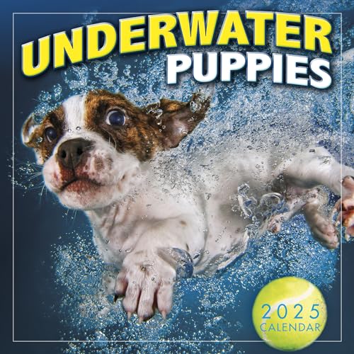 Underwater Puppies 2025 Mini-Kalender – Fotografie von Seth Casteel, 17,8 x 17,8 cm von SELLERS PUBLISHING, INC.
