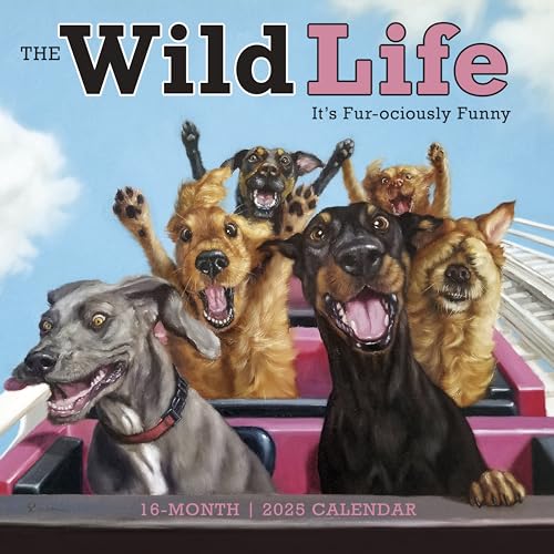 Wild Life Wandkalender 2025: It's Furociously Funny von Lucia Heffernan, 30,5 x 30,5 cm Wild Life Wandkalender 2025: It's Furociously Funny von Lucia Heffernan, 30,5 x 30,5 cm von SELLERS PUBLISHING, INC.