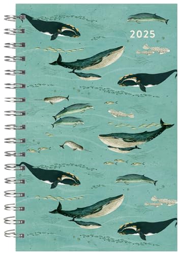 Wochen- und Monatsplaner 2025, 16-Monats-Verlobungskalender: September 2024 - Dezember 2025, 15,2 x 22,9 cm, skurrile Wale von SELLERS PUBLISHING, INC.