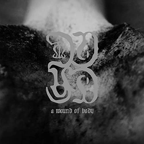 A Wound of Body [Vinyl LP] von SENTIENT RUIN LA