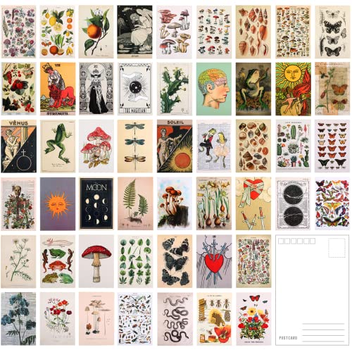 50 Stück Pflanzen Postkarten Vintage Botanical Postkarten Set Retro Ästhetisches Schmetterling Postkarten für Room Decor oder Schreiben Grußetterling Postkarten für Room Decor oder Schreiben Gruß von SEPGLITTER