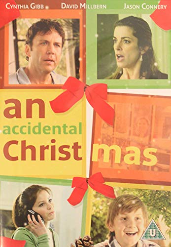 An Accidental Christmas [DVD-AUDIO] von SES