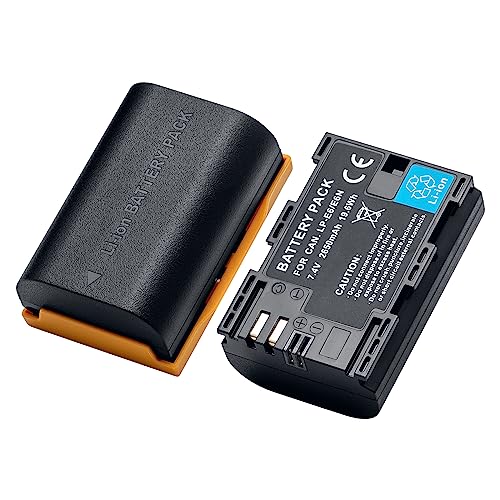 LP-E6/LP-E6NH/LP-E6N wiederaufladbare Batterie 2650mAh (2Pieces) Kompatibel mit Canon EOS 5D2/5D3/5D4/5DS/5DSR/6D/6D2/60D/60Da/7D Mark2/70D/80D/90D, etc von SEYRLMK