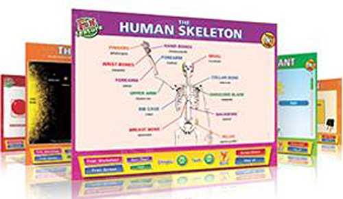 SG Education, DD SC-I-S57 Daydream Science Software von Seduction