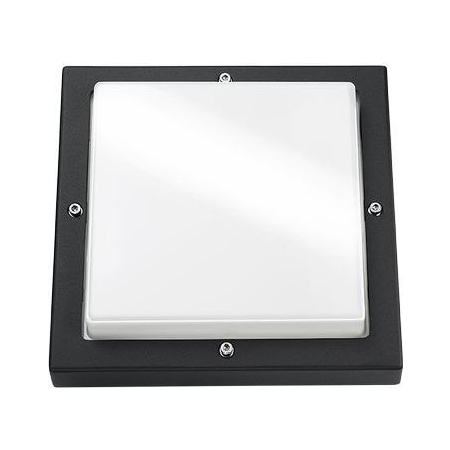 614197 - Wandleuchte Basso schwarz opal 2x E27 CFL 33W, 614197 - Aktionsartikel 614197 - Wandleuchte Basso schwarz opal 2x E27 CFL 33W, 614197 - Aktionsartikel von SG Leuchten