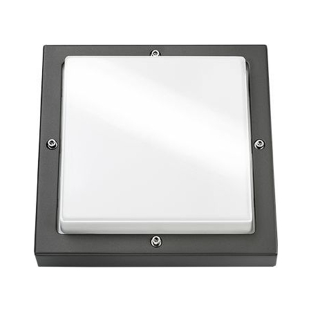 623188 - LED-Wandleuchte Bassi 10W graphit/opal Dämmerungssch., 623188 - Aktionsartikel 623188 - LED-Wandleuchte Bassi 10W graphit/opal Dämmerungssch., 623188 - Aktionsartikel von SG Leuchten