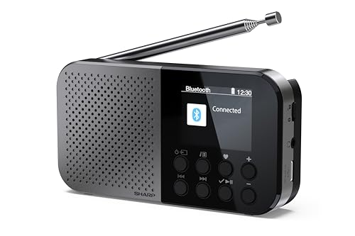 SHARP DR-P520(GY) Tragbares Digitalradio (DAB/DAB+/FM mit RDS, USB, Bluetooth 5.3) Speicher für 120 Sender, 3,5mm Klinke, Wecker-Funktion, Grau/Schwarz von SHARP