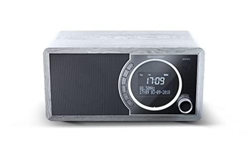 SHARP DR450 Digitalradio (DAB/DAB+/FM mit RDS, Bluetooth, Wecker-Funktionen, 6 Watt), grau von SHARP