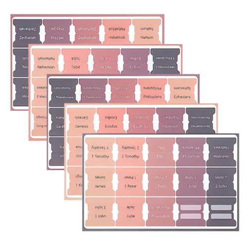 SHINEOFI 1 Satz Indexetikettenaufkleber Registerkarten Für Die Bibel Bibeln Für Frauen Bibel Tab Bibelregisterkarten Bibelstudium Für Frauen Klein Bibel-tags Bibel Etiketten Papier 5blätter von SHINEOFI