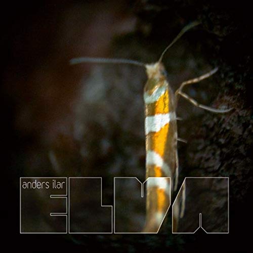 Elva Remixes [Vinyl Maxi-Single] [Vinyl Maxi-Single] von SHITKATAPULT